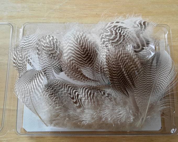 Fly Tying Feathers...... Long Saddle Hackle feather Color, Grizzly. Etsy