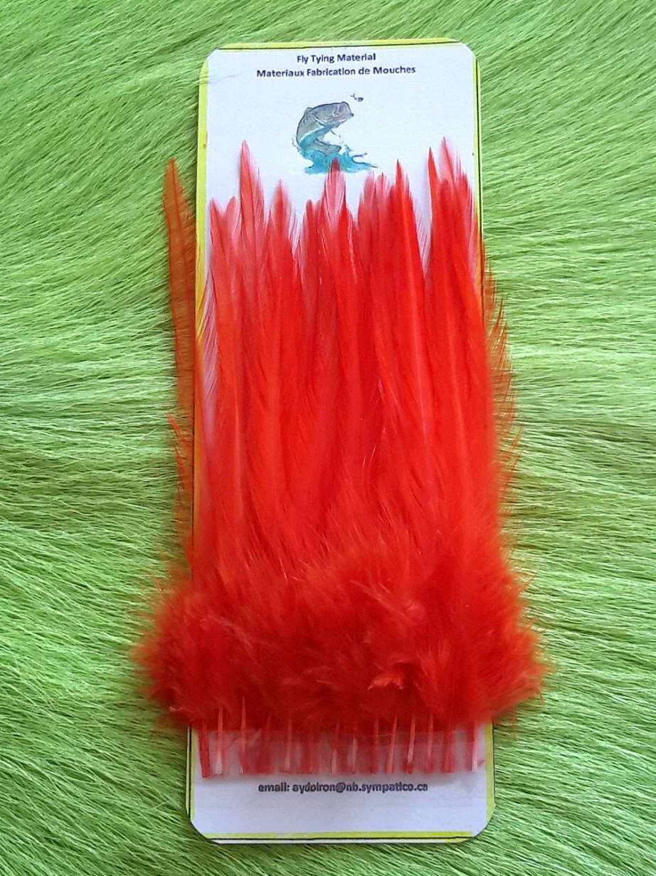 Fly Tying Material. feather. Grade a 
