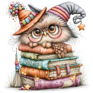 Peut inclure: Un hibou duveteux aux grands yeux marron et lunettes rondes porte un chapeau pointu coloré avec une étoile. Le hibou repose sur une pile de cinq livres épais et texturés, dont l'un est marqué Spellfalcon, à côté d'un petit balai décoratif.