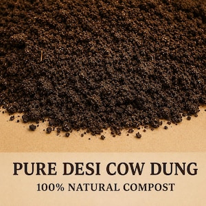 May include: A pile of dark brown, granular organic matter consisting of pure desi cow dung. Below the pile, the text reads PURE DESI COW DUNG followed by 100% NATURAL COMPOST in a dark brown serif font on a light tan background.