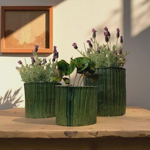Puede incluir: Tres macetas de cerámica verde con líneas verticales texturizadas, cada una con plantas de flores moradas y hojas verdes. Las macetas están dispuestas sobre una superficie de madera, con una obra de arte enmarcada en el fondo.