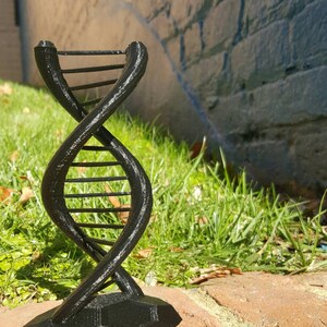 DNA Double Helix Science Gift 3D Printed image 2