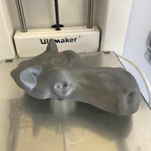May include: A gray 3D printed hippopotamus head, printed on a 3D printer with the UltiMaker logo visible.
