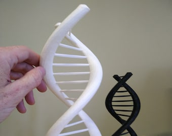 Extra Large DNA Double Helix Science Gift 3D Printed