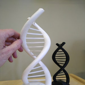 Extra Large DNA Double Helix Science Gift 3D Printed