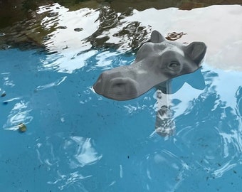 Floating Hippo Pool Thermometer