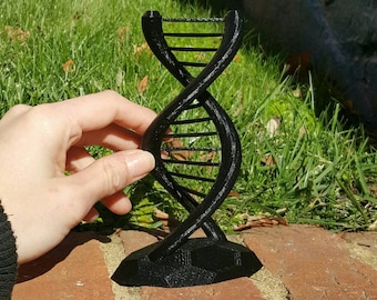 DNA Double Helix Science Gift 3D Printed