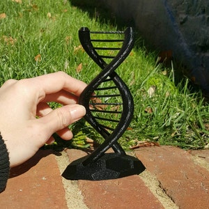 DNA Double Helix Science Gift 3D Printed image 1