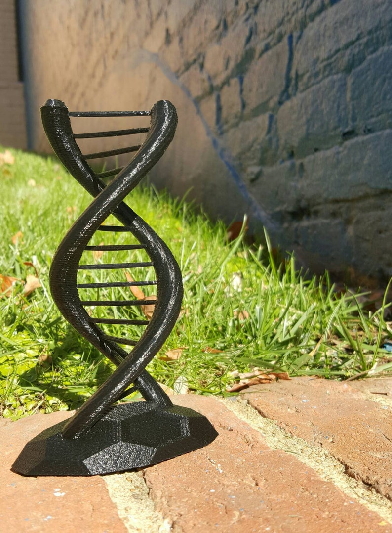 DNA Double Helix Science Gift 3D Printed image 2