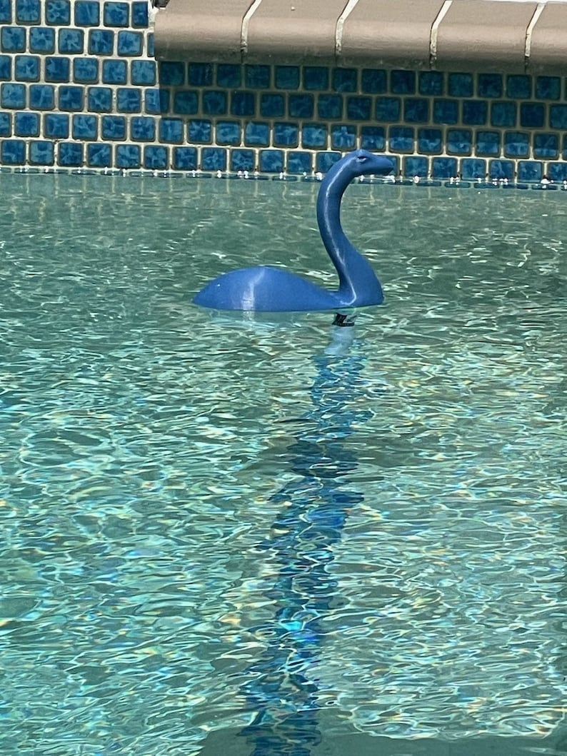 K&ouml;nnte beinhalten: Ein blaues Plastikspielzeug Nessie, das Monster von Loch Ness, schwimmt in einem Schwimmbad.