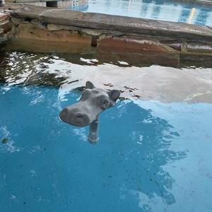 May include: A gray hippopotamus statue is partially submerged in a blue swimming pool. The hippopotamus is facing the left side of the image. The pool is surrounded by a stone wall.