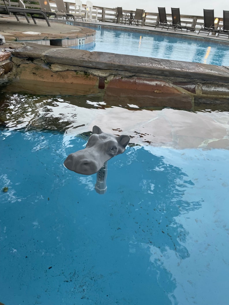 May include: A gray hippopotamus statue is partially submerged in a blue swimming pool. The hippopotamus is facing the left side of the image. The pool is surrounded by a stone wall.