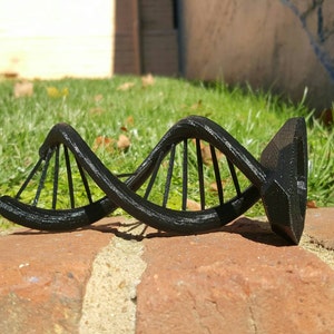 DNA Double Helix Science Gift 3D Printed image 3