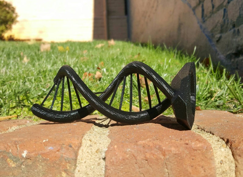DNA Double Helix Science Gift 3D Printed image 3