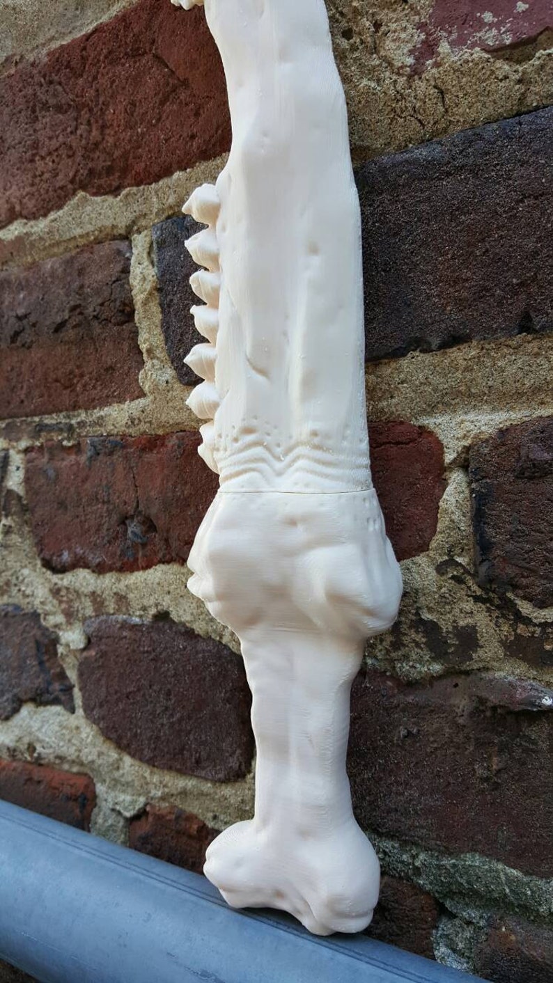 May include: A white 3D printed model of a dinosaur jawbone. The jawbone is detailed with teeth and bone texture.