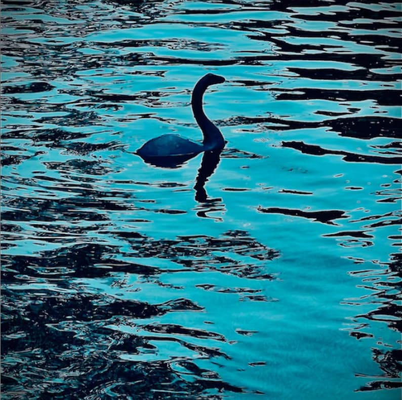K&ouml;nnte beinhalten: Ein schwarzer Schwan mit langem Hals schwimmt in einem blauen und gr&uuml;nen Gew&auml;sser. Das Wasser wellt sich und reflektiert das Licht.