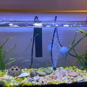 May include: A fish tank with a black heater, a blue air stone, and a variety of green plants. The tank is filled with clear water and has a layer of small, colorful pebbles on the bottom.