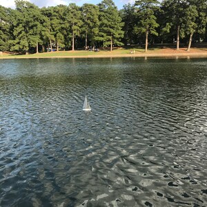 Puede incluir: Un peque&ntilde;o velero blanco flota en un lago tranquilo y ondulado. El lago est&aacute; rodeado de un exuberante bosque verde con &aacute;rboles altos.