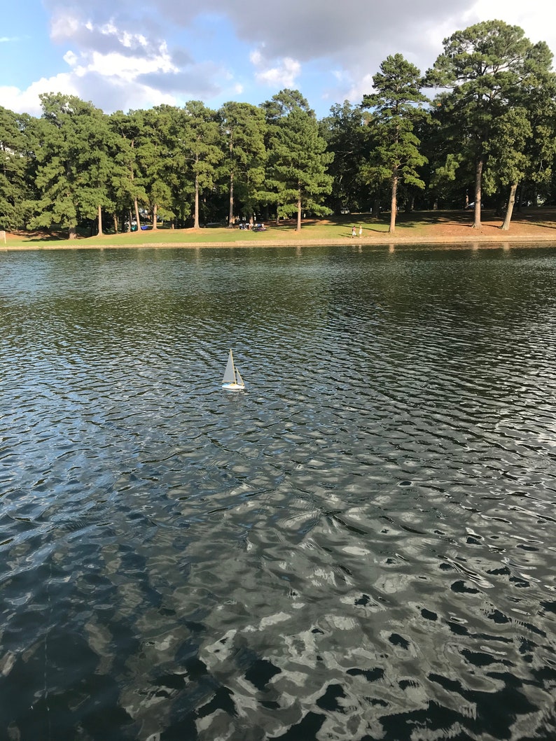 Puede incluir: Un peque&ntilde;o velero blanco flota en un lago tranquilo y ondulado. El lago est&aacute; rodeado de un exuberante bosque verde con &aacute;rboles altos.