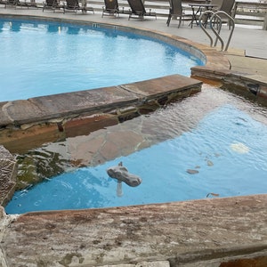 May include: A blue swimming pool with a smaller, round, blue hot tub next to it. The hot tub has a gray hippopotamus statue floating in it.