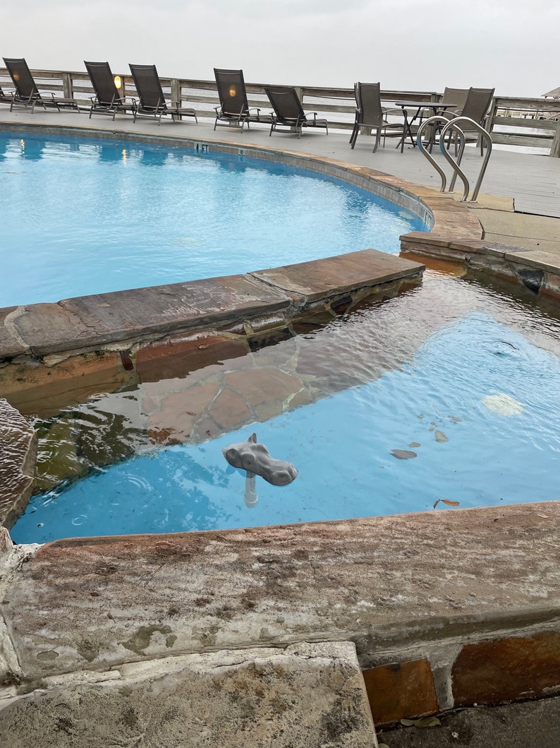 May include: A blue swimming pool with a smaller, round, blue hot tub next to it. The hot tub has a gray hippopotamus statue floating in it.