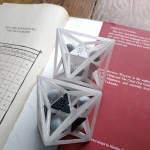 May include: Two white 3D-printed geometric cage structures, each containing several small gray spheres and one triangular piece. One cage holds a black triangular piece with six dots, while the other holds a white triangular piece with six dots.