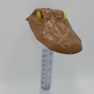 May include: A brown alligator head thermometer with yellow eyes. The thermometer has a clear plastic tube with a white base and a Fahrenheit scale.