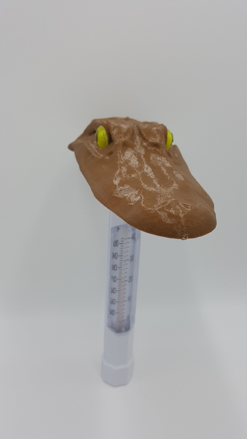 May include: A brown alligator head thermometer with yellow eyes. The thermometer has a clear plastic tube with a white base and a Fahrenheit scale.