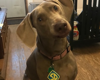 scooby doo dog costume medium