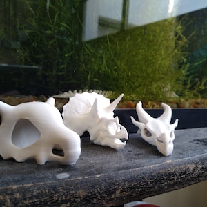 May include: Three white 3D printed dinosaur skulls. The skulls are of a Tyrannosaurus Rex, a Triceratops, and a Stegosaurus. The skulls are sitting on a wooden surface.