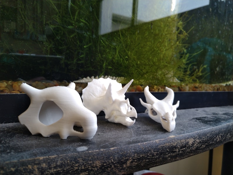 May include: Three white 3D printed dinosaur skulls. The skulls are of a Tyrannosaurus Rex, a Triceratops, and a Stegosaurus. The skulls are sitting on a wooden surface.