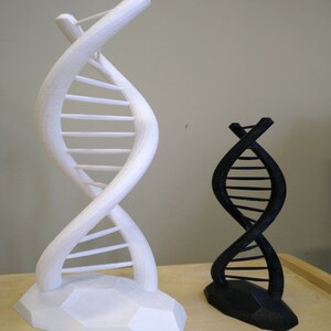 Extra Large DNA Double Helix Science Gift 3D Printed image 2