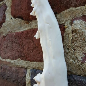 May include: A close-up of a white, 3D printed jawbone with teeth. The jawbone is leaning against a brick wall.