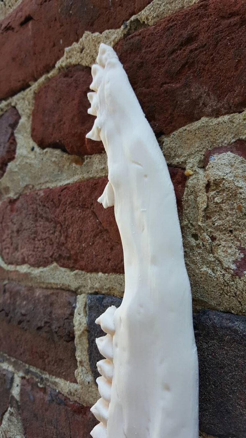 May include: A close-up of a white, 3D printed jawbone with teeth. The jawbone is leaning against a brick wall.