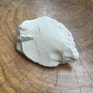 May include: A light gray, irregularly shaped stone with a rough, textured surface.
