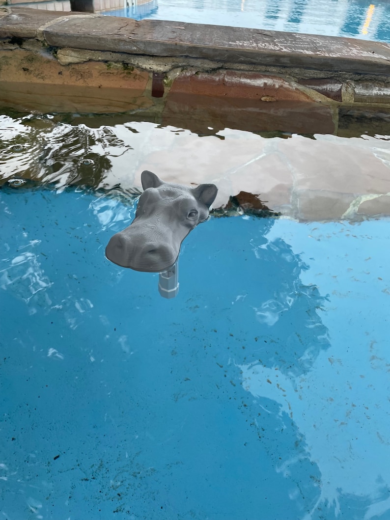 Floating Hippo Pool Thermometer image 4