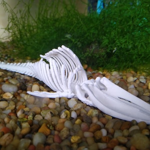 May include: White plastic skeleton of a fish lying on a bed of small, colorful pebbles.
