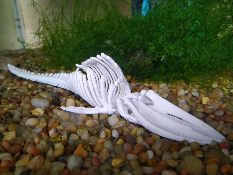 Whale Fall Fish Tank Decoration Whale Bones image 1