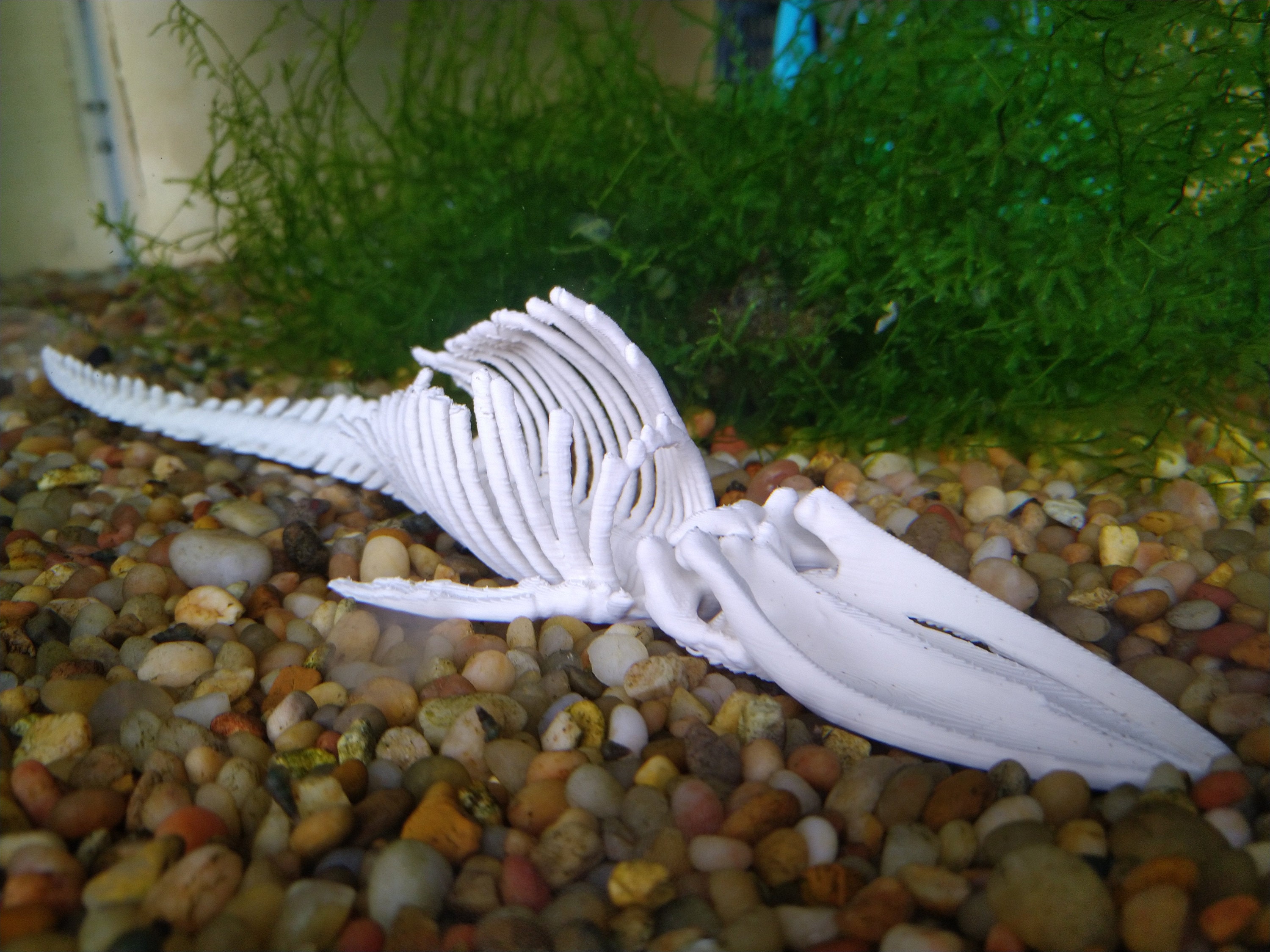 Whale Fall Fish Tank Decoration Whale Bones - Etsy