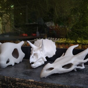 May include: Three white plastic dinosaur skull figurines. The skulls are of a triceratops, a dragon, and a pokemon.