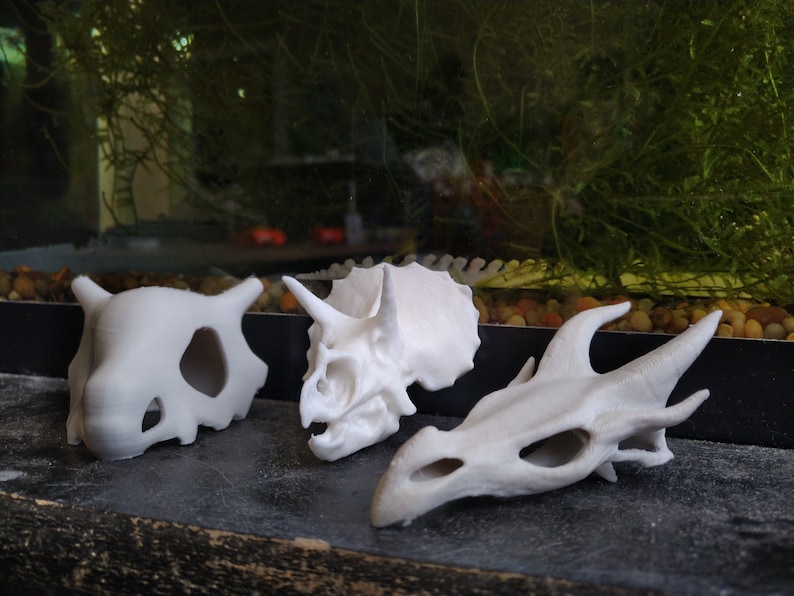 May include: Three white plastic dinosaur skull figurines. The skulls are of a triceratops, a dragon, and a pokemon.