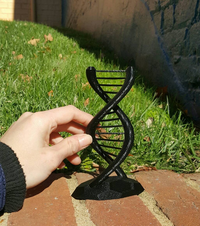 DNA Double Helix Science Gift 3D Printed image 1
