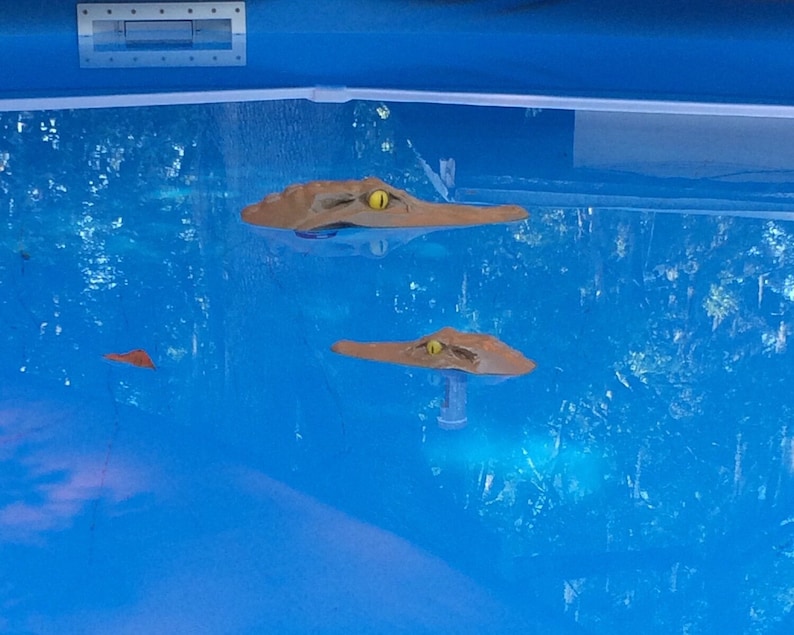 May include: Two brown alligator toys floating in a blue pool. The alligators have yellow eyes and are facing the camera.