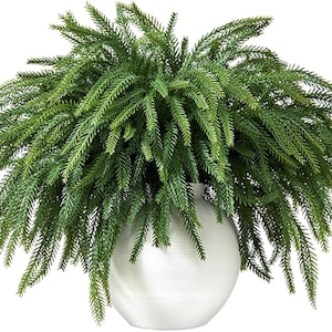 May include: A lush, artificial fern arrangement in a white, round ceramic vase. The fern has vibrant green, needle-like foliage, creating a full, cascading effect. The vase has a smooth, glossy finish with subtle horizontal ridges.