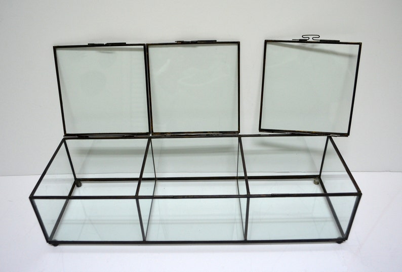 Vintage Large Specimen Glass Display Box / Display Case / 3 Etsy