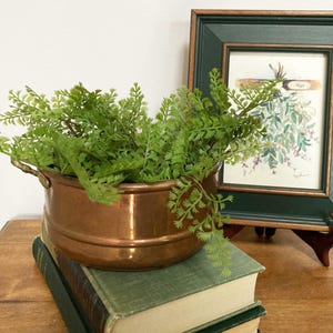 May include: A copper planter filled with green foliage sits atop two stacked, aged green books. A framed botanical print with a green frame is in the background. The planter has two small handles and a shiny finish, adding a touch of vintage charm.