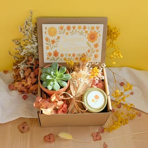 May include: A cardboard gift box containing a green succulent in a terracotta pot, a small round tin with a floral label, and a bundle of dried yellow and white flowers. The box lid features a card with the text Sending you Sunshine.