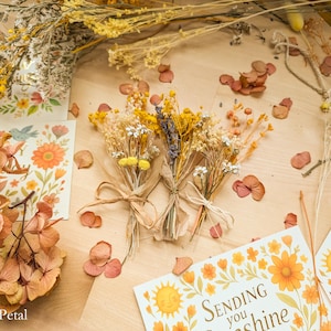 May include: Three small bouquets of dried yellow and white flowers tied with twine, surrounded by loose dried petals, floral cards with the text "Sending you sunshine," and a glass jar filled with yellow dried flowers on a light wood surface.