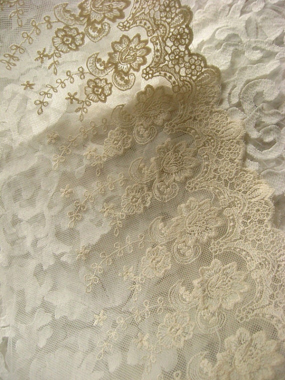 Ivory Embroidered Lace Pabla