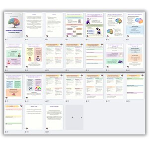 Pu&ograve; includere: Un documento di pi&ugrave; pagine intitolato "Attenzione e concentrazione dopo lesioni cerebrali". Le pagine presentano testo, diagrammi e illustrazioni, tra cui una grafica colorata del cervello. Il documento &egrave; destinato ai professionisti.